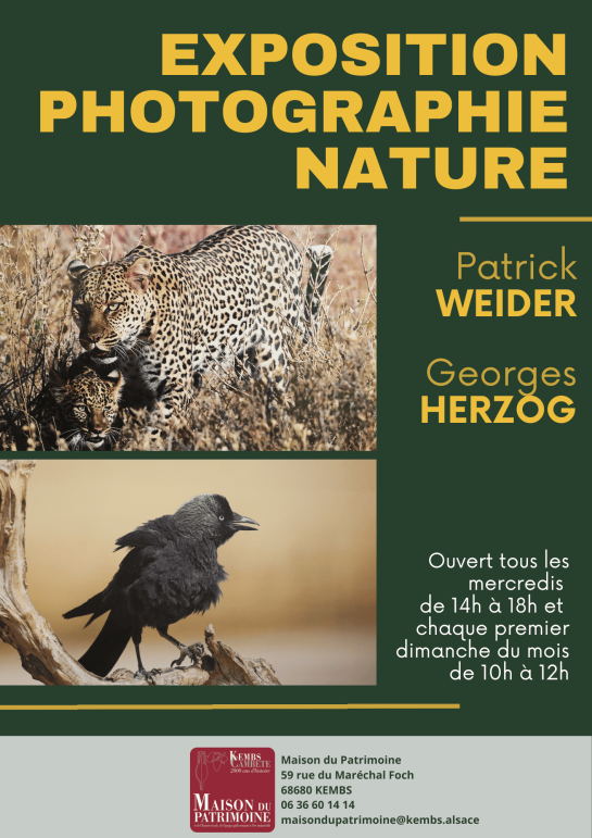 Expo photo nature Expo photo nature