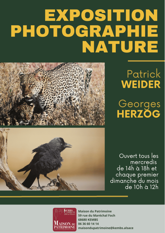 Expo photo nature