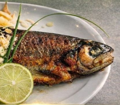 Vente de truites par le TTK